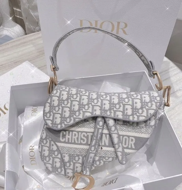 Christian Dior  Oblique Embroidered Saddle Bag