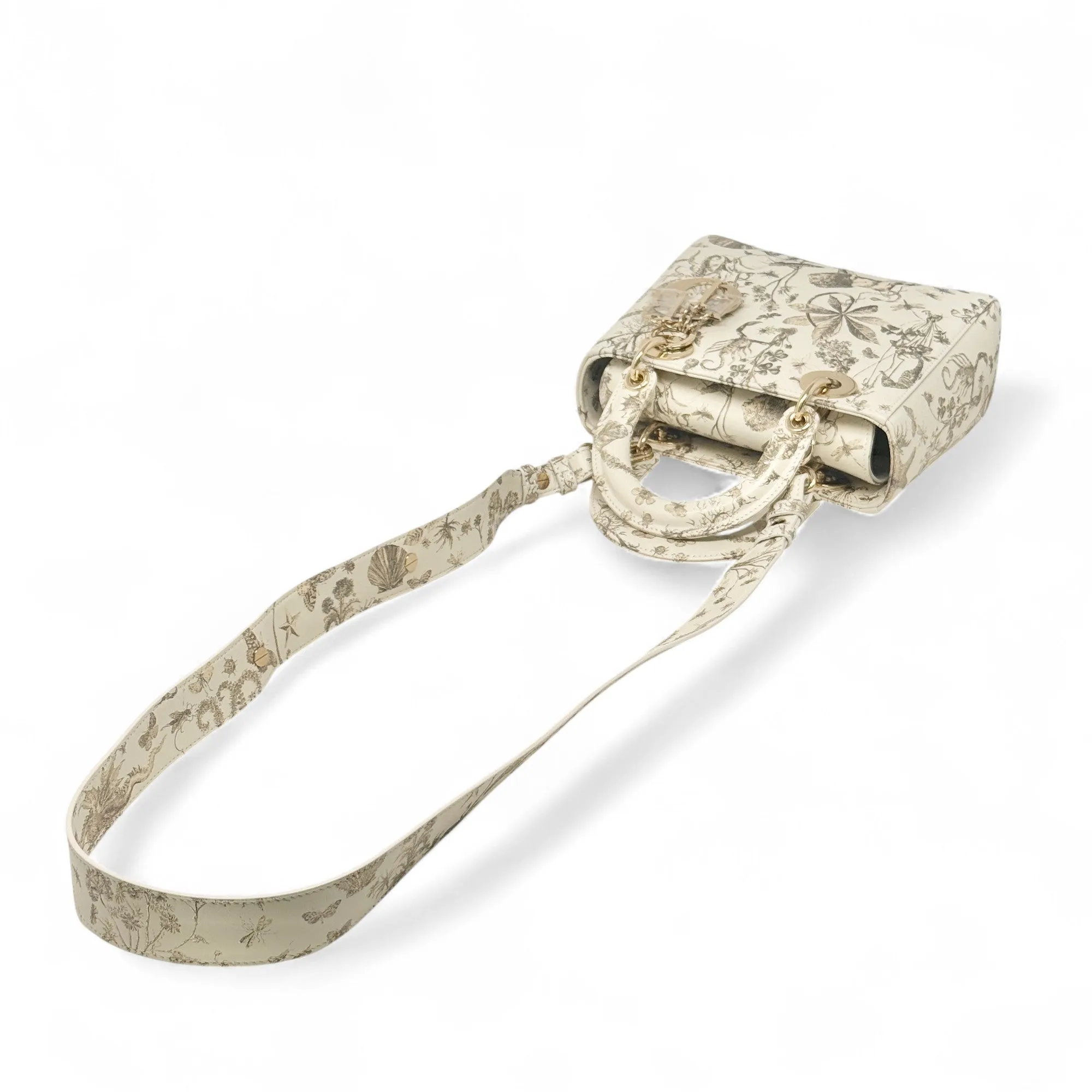 Dior Latte Small Cabinet de Curiosit??s Lady Dior Bag