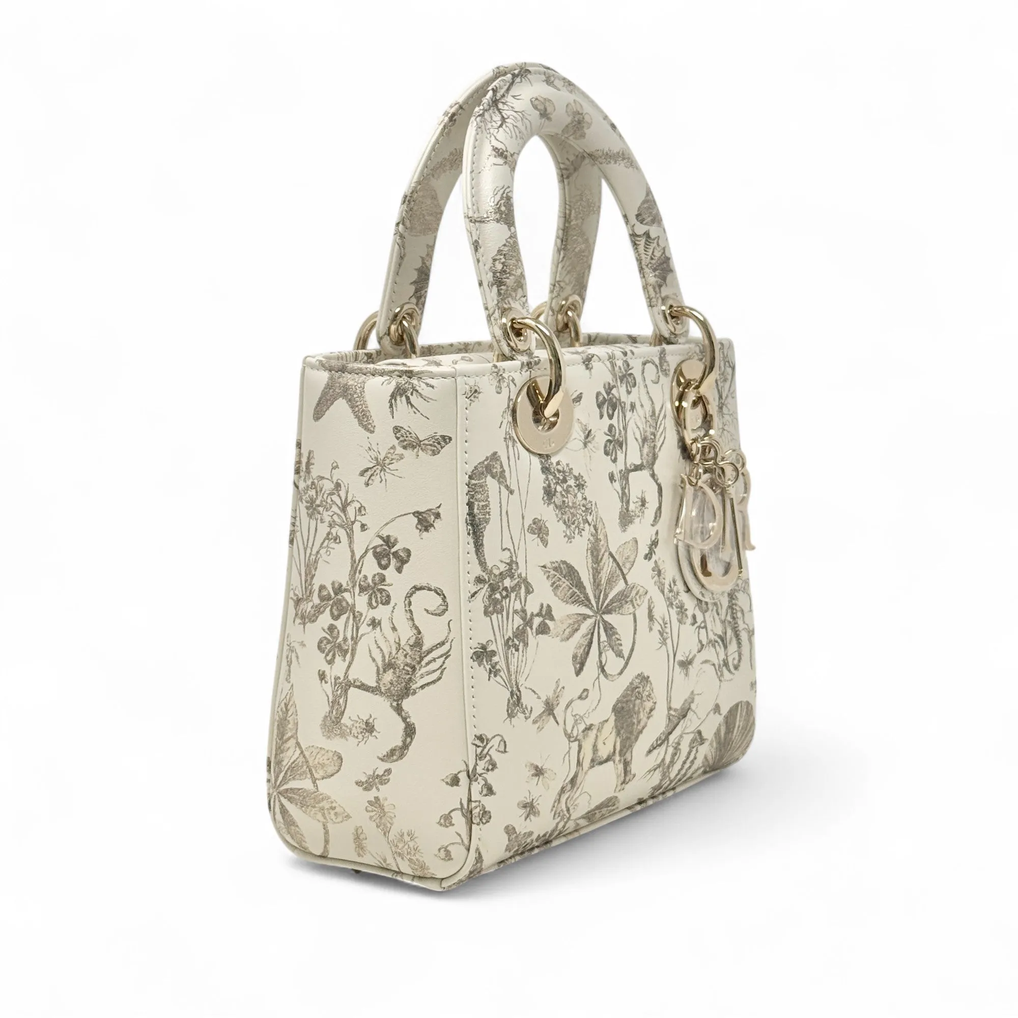 Dior Latte Small Cabinet de Curiosit??s Lady Dior Bag