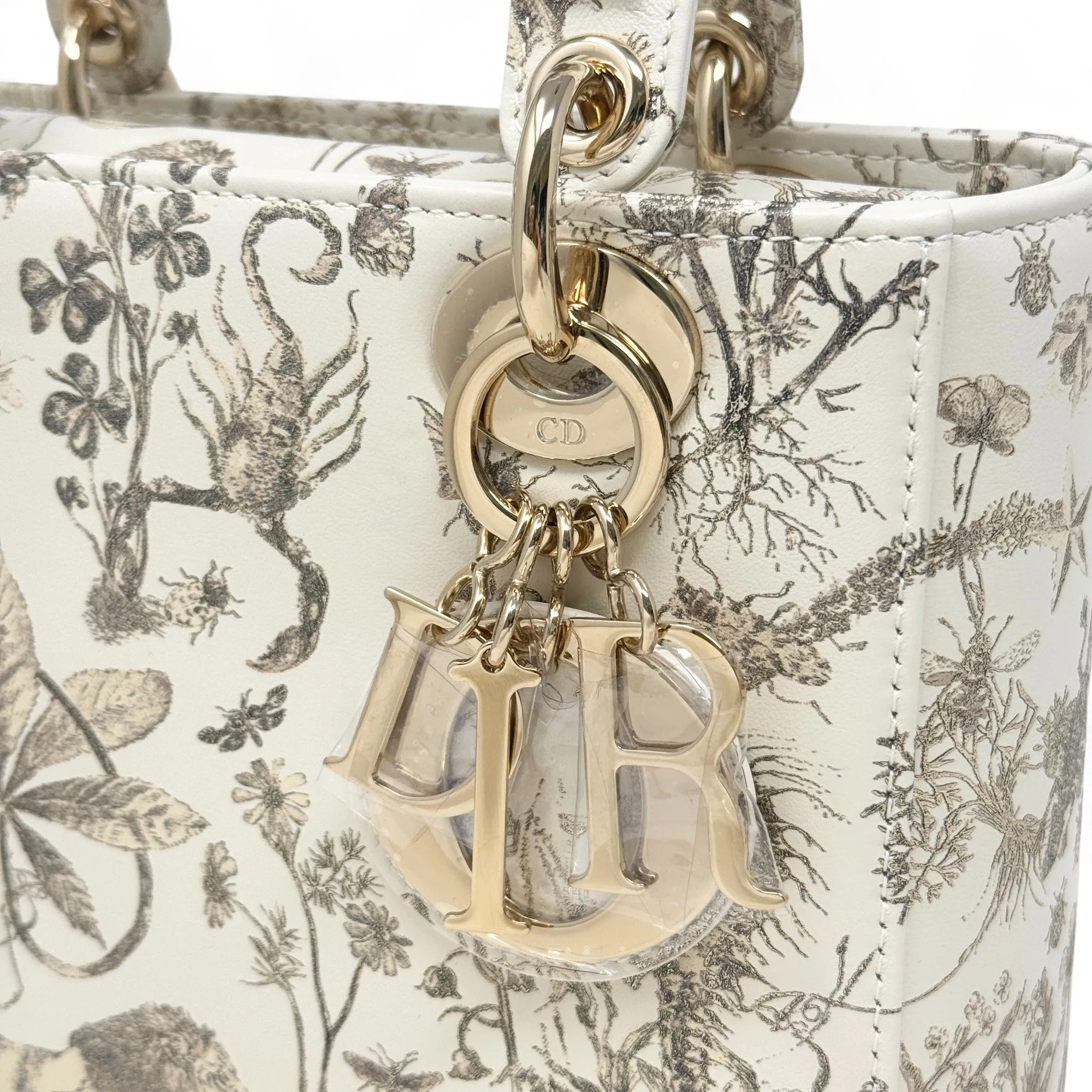 Dior Latte Small Cabinet de Curiosit??s Lady Dior Bag