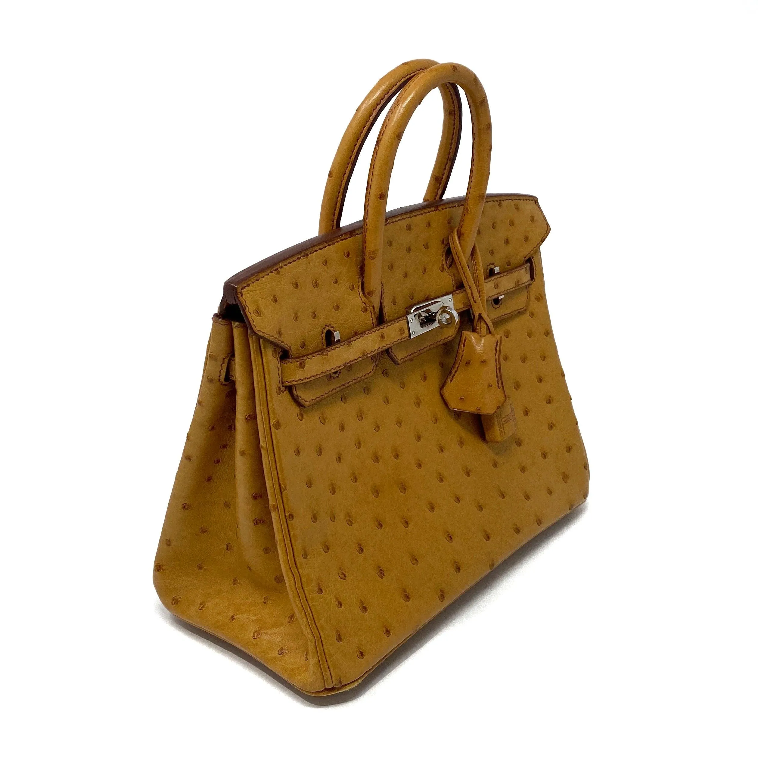 Hermes Saffron Ostrich Birkin 25