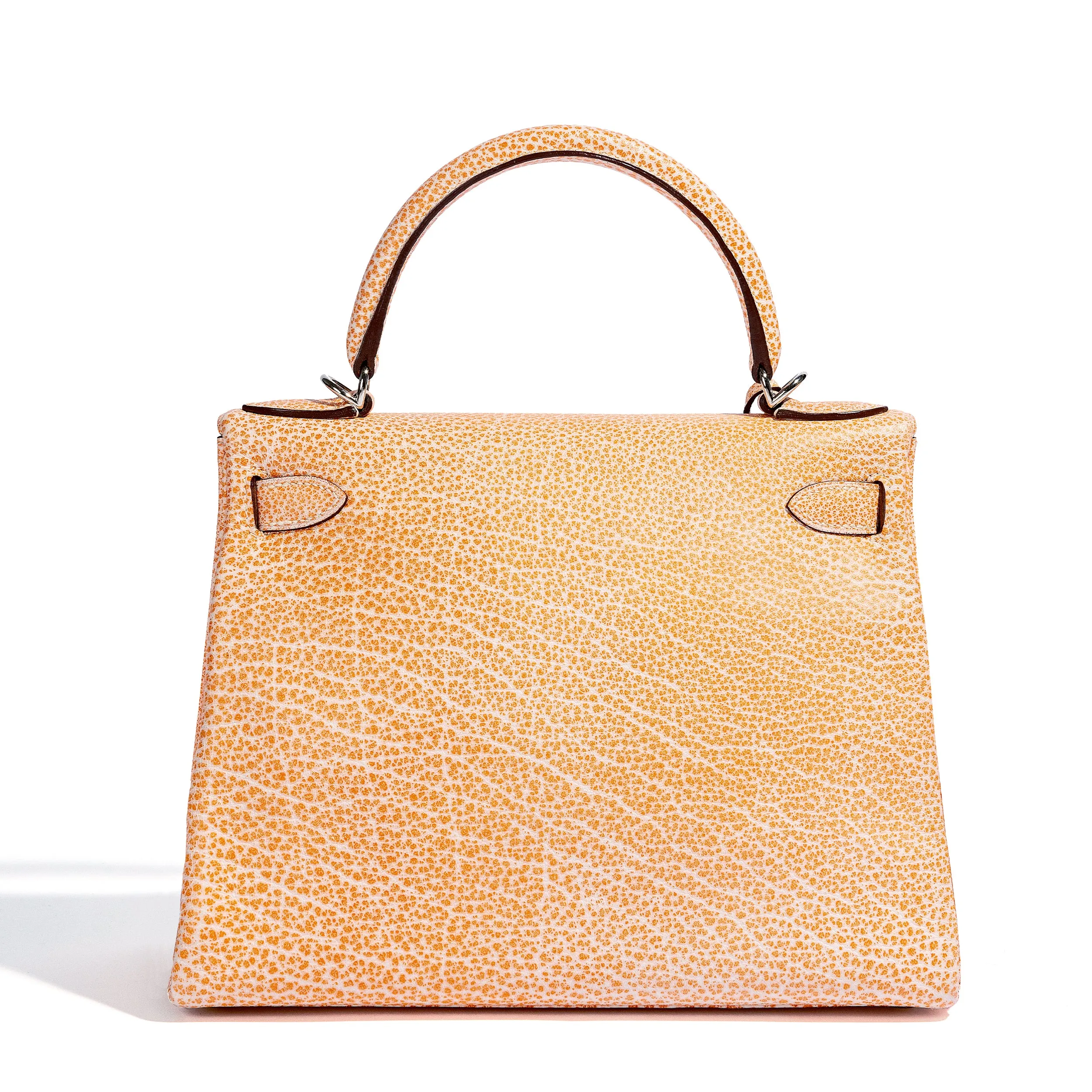 Kelly 28 Orange H Dalmatian PHW