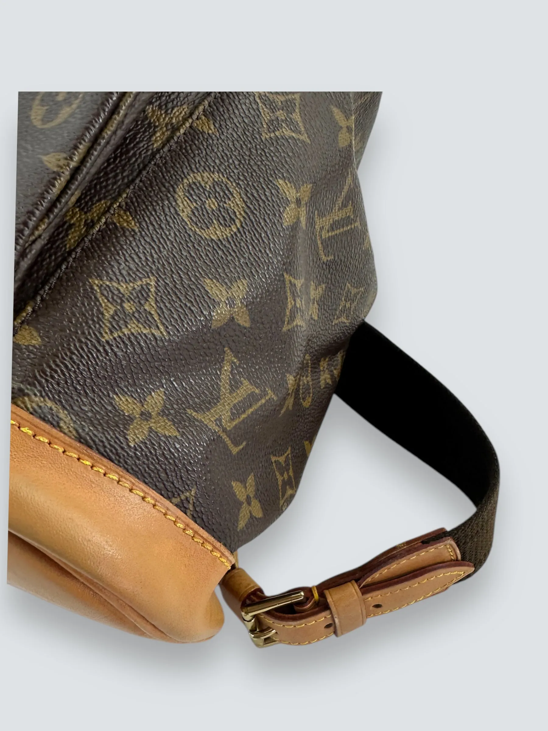 Louis Vuitton Monogram Canvas Montsouris Backpack